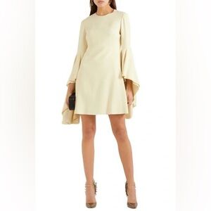 Chic Cream Flare Sleeve Dress